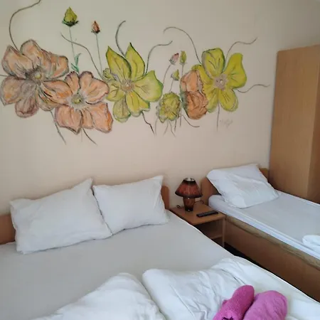 Privatan Smestaj Velic