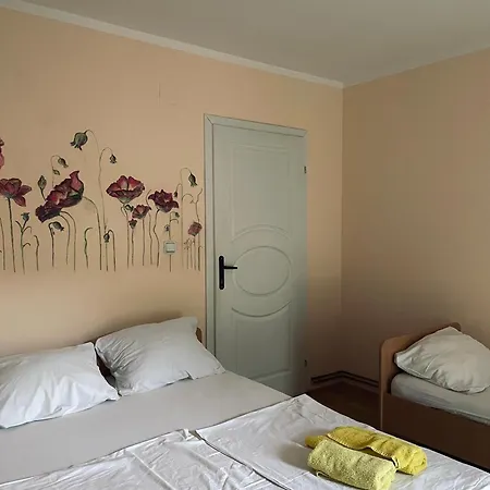 Privatan Smestaj Velic *